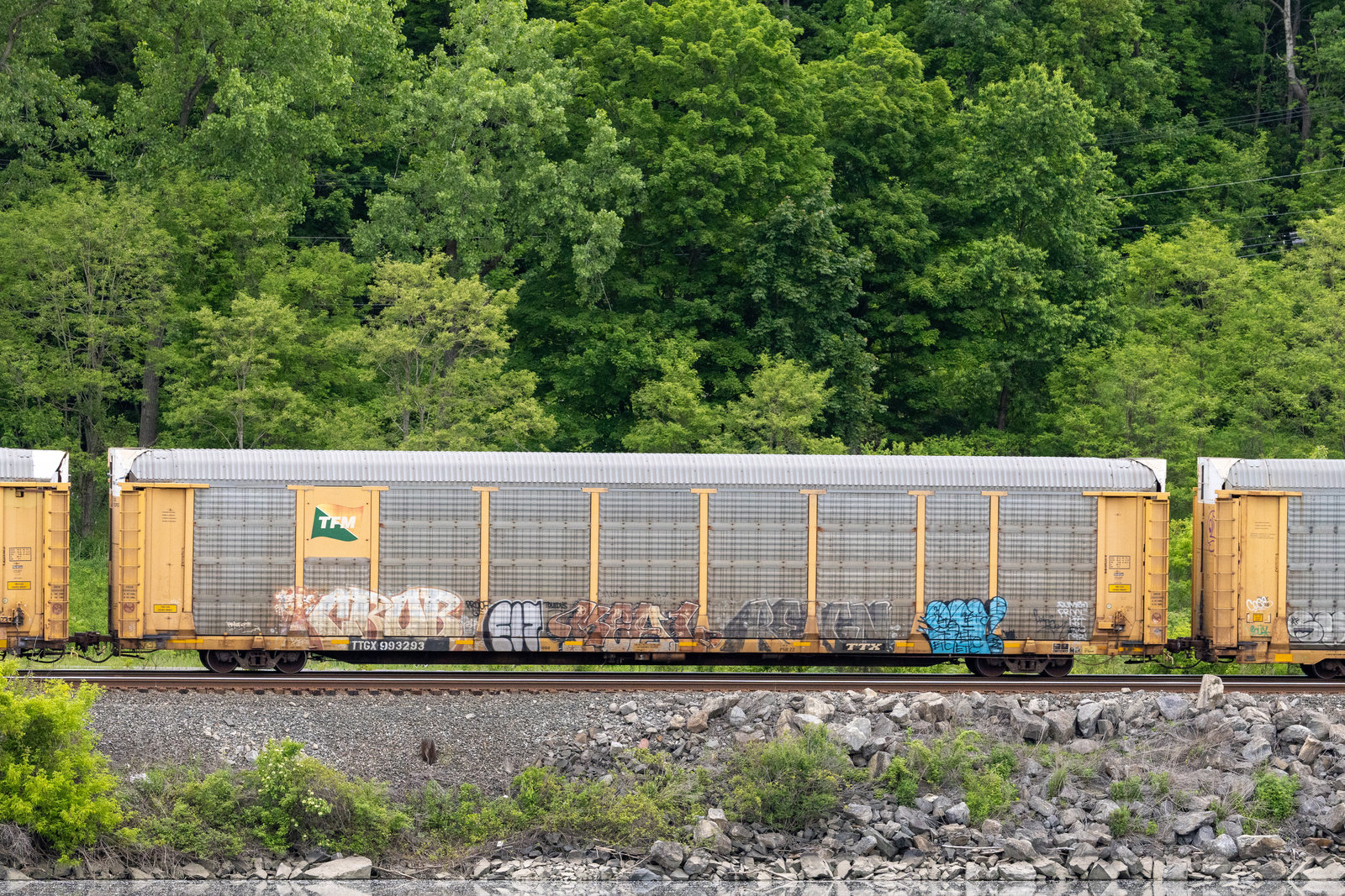 TTGX 993293