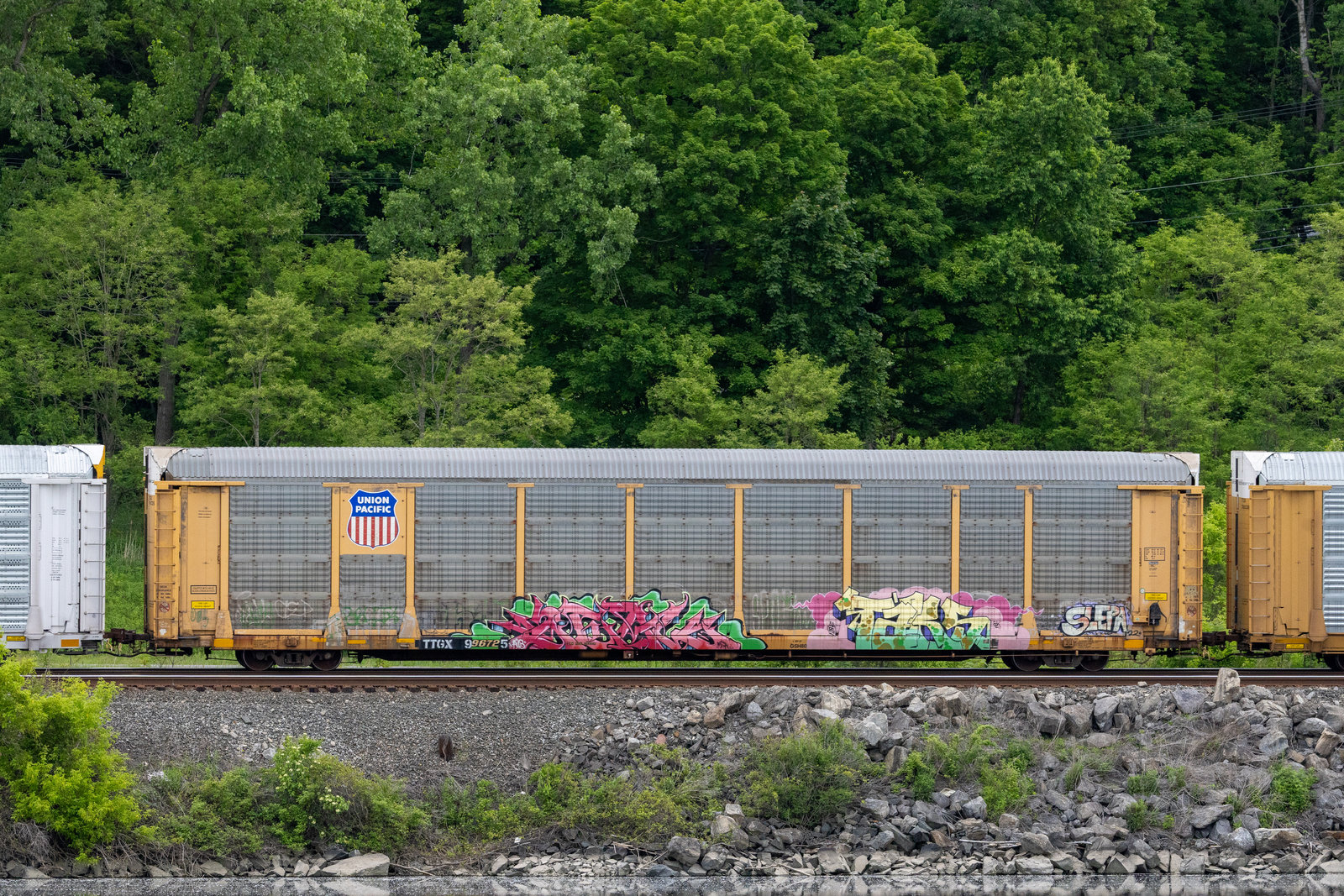 TTGX 996725