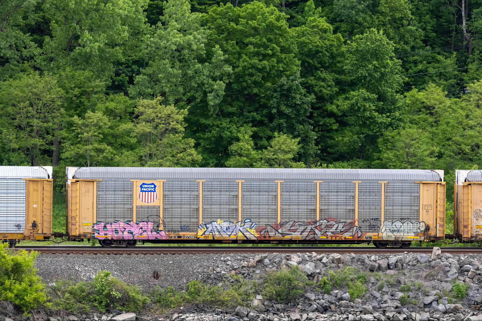 TTGX 997087