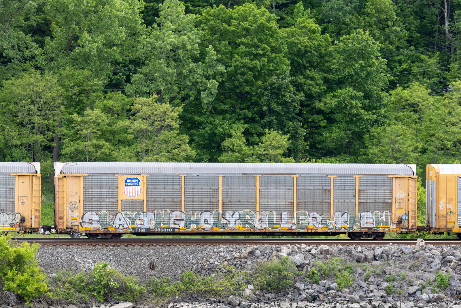 TTGX 985810