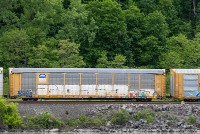 TTGX 985203