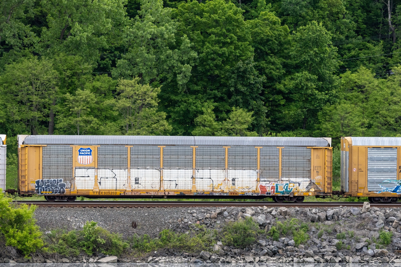 TTGX 985203