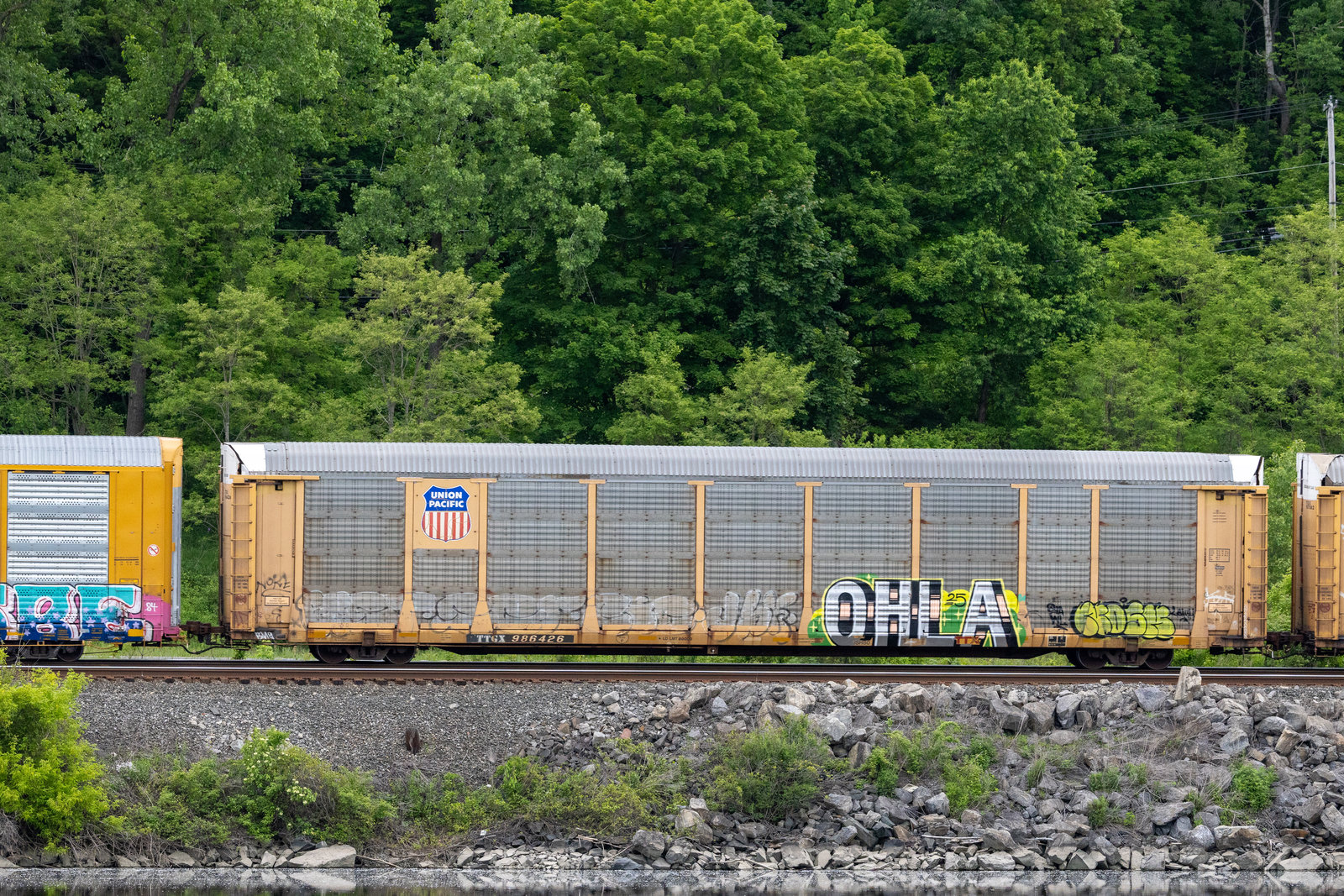 TTGX 986426
