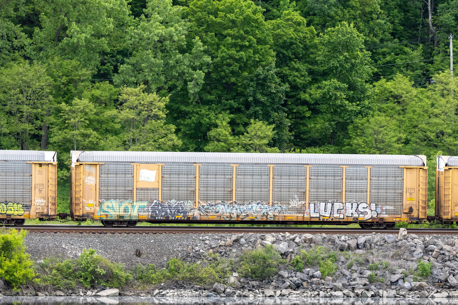 TTGX 987582