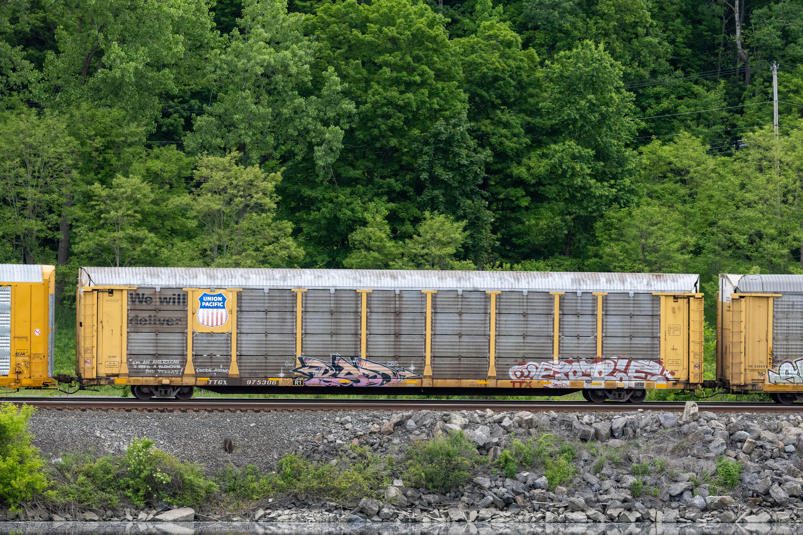TTGX 975306