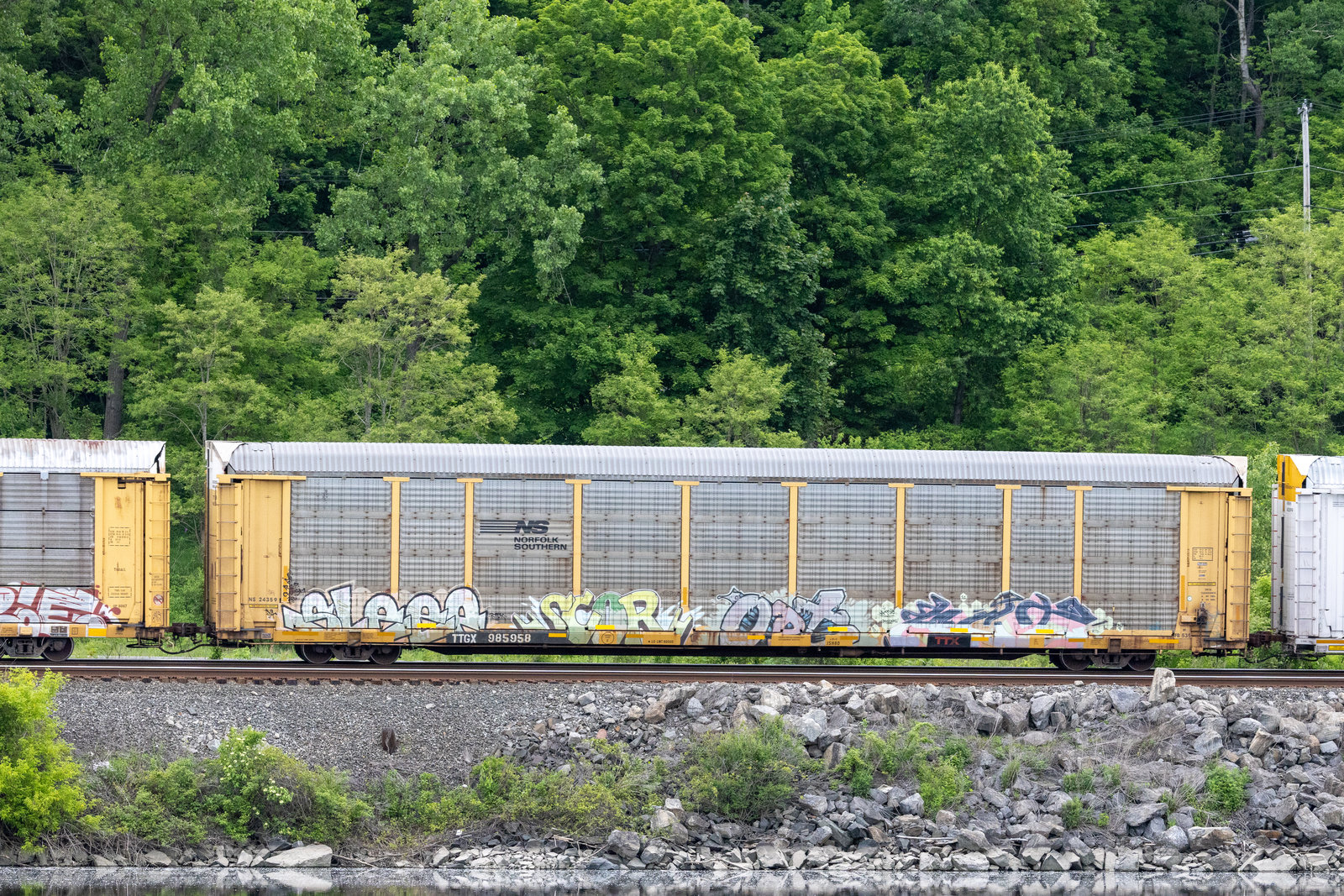 TTGX 985958