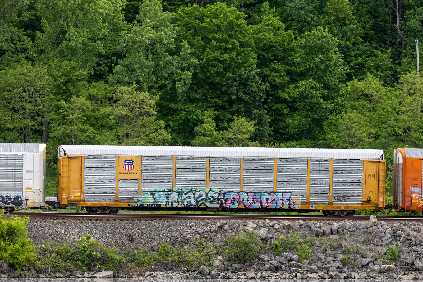 TTGX 965828