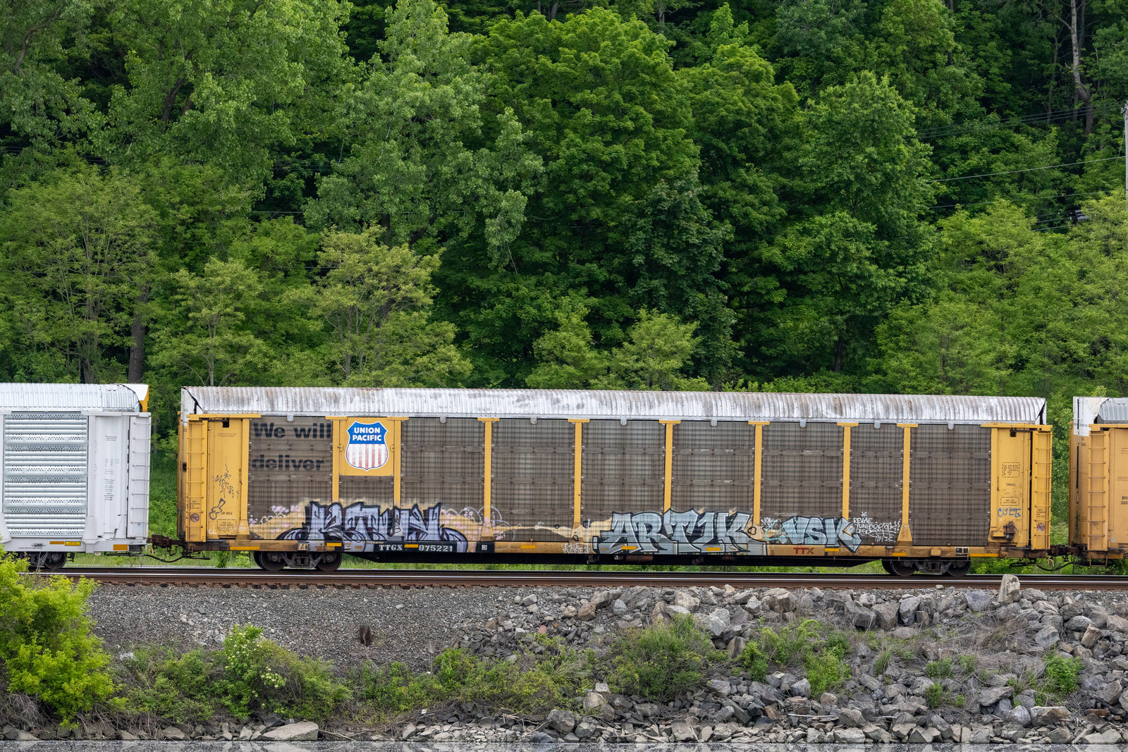 TTGX 975221