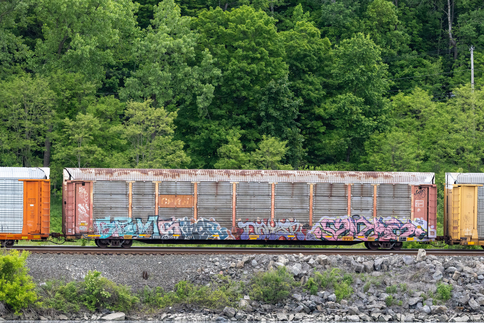 TTGX 255548