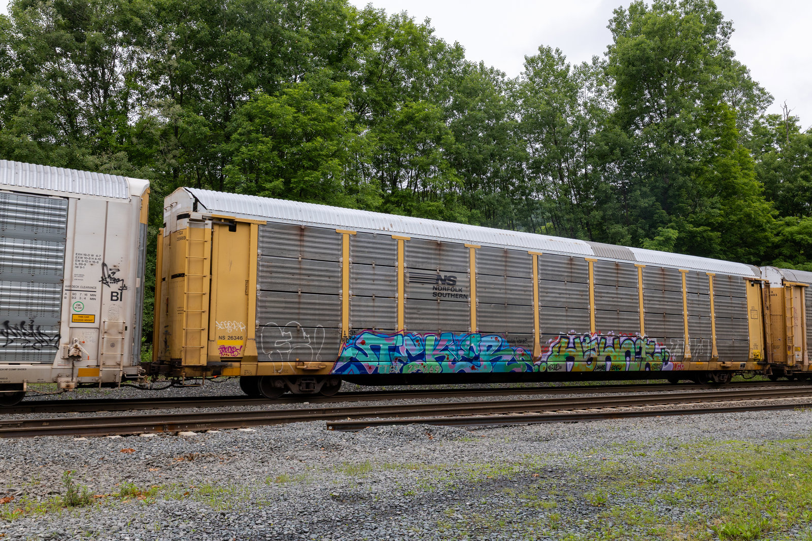 TTGX 255669