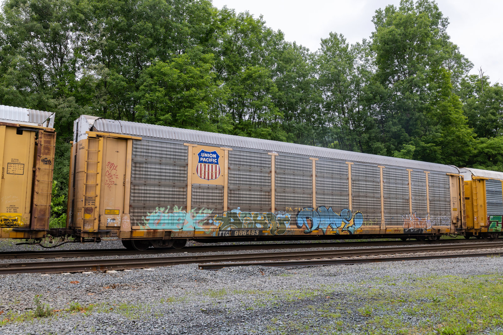 TTGX 986483