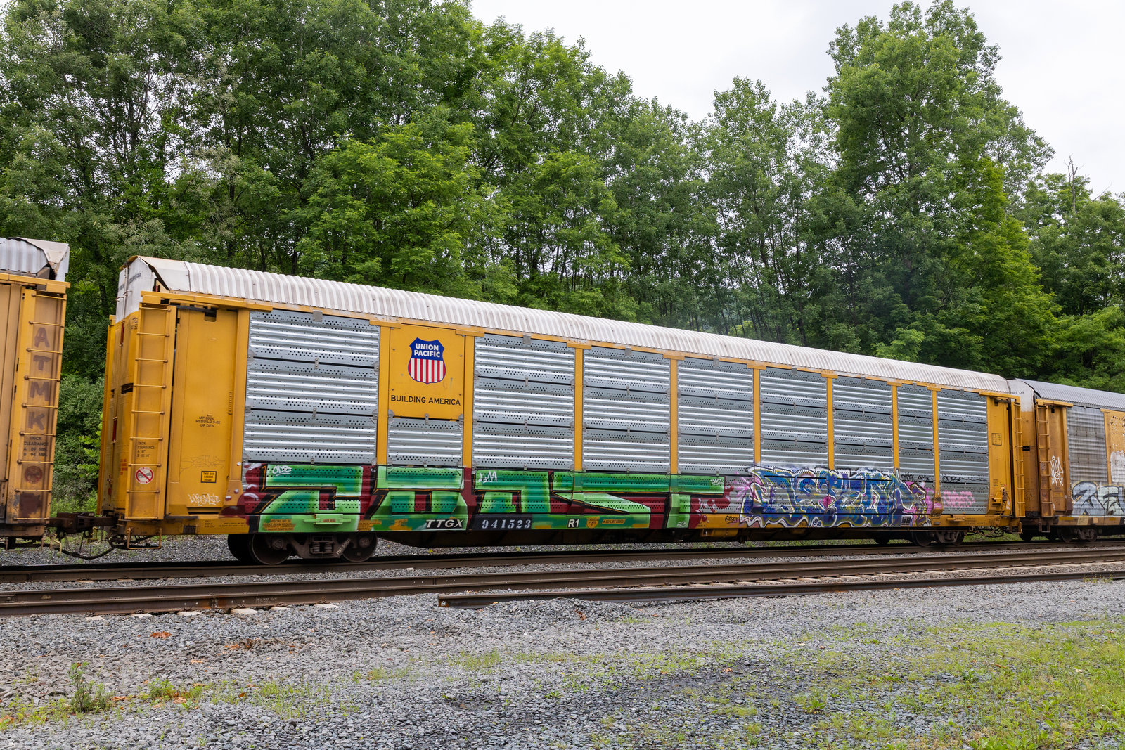 TTGX 941523