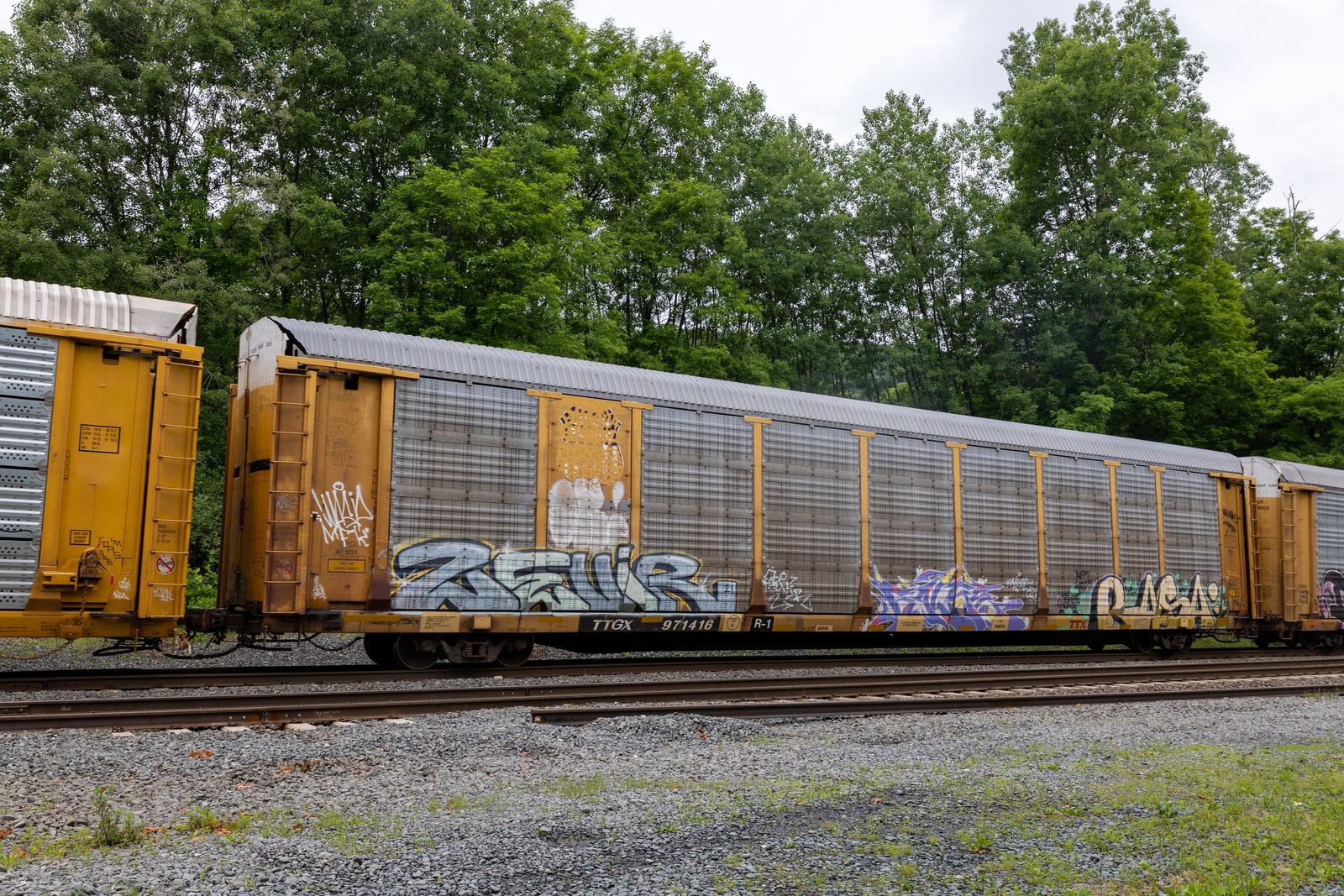 TTGX 971416