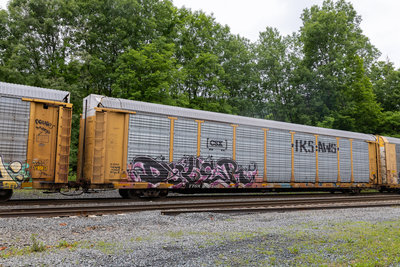 TTGX 979505