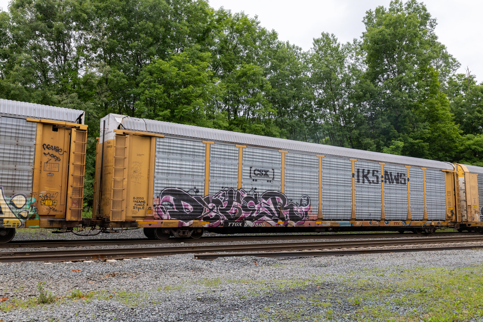 TTGX 979505