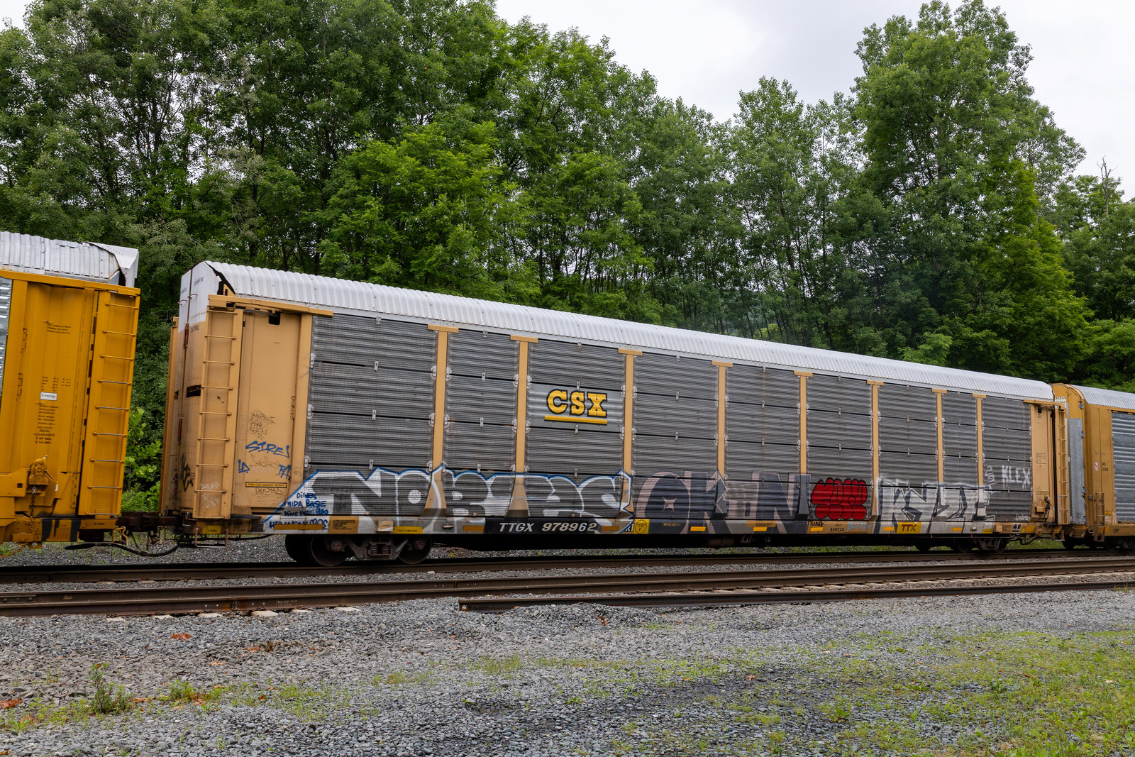 TTGX 978962