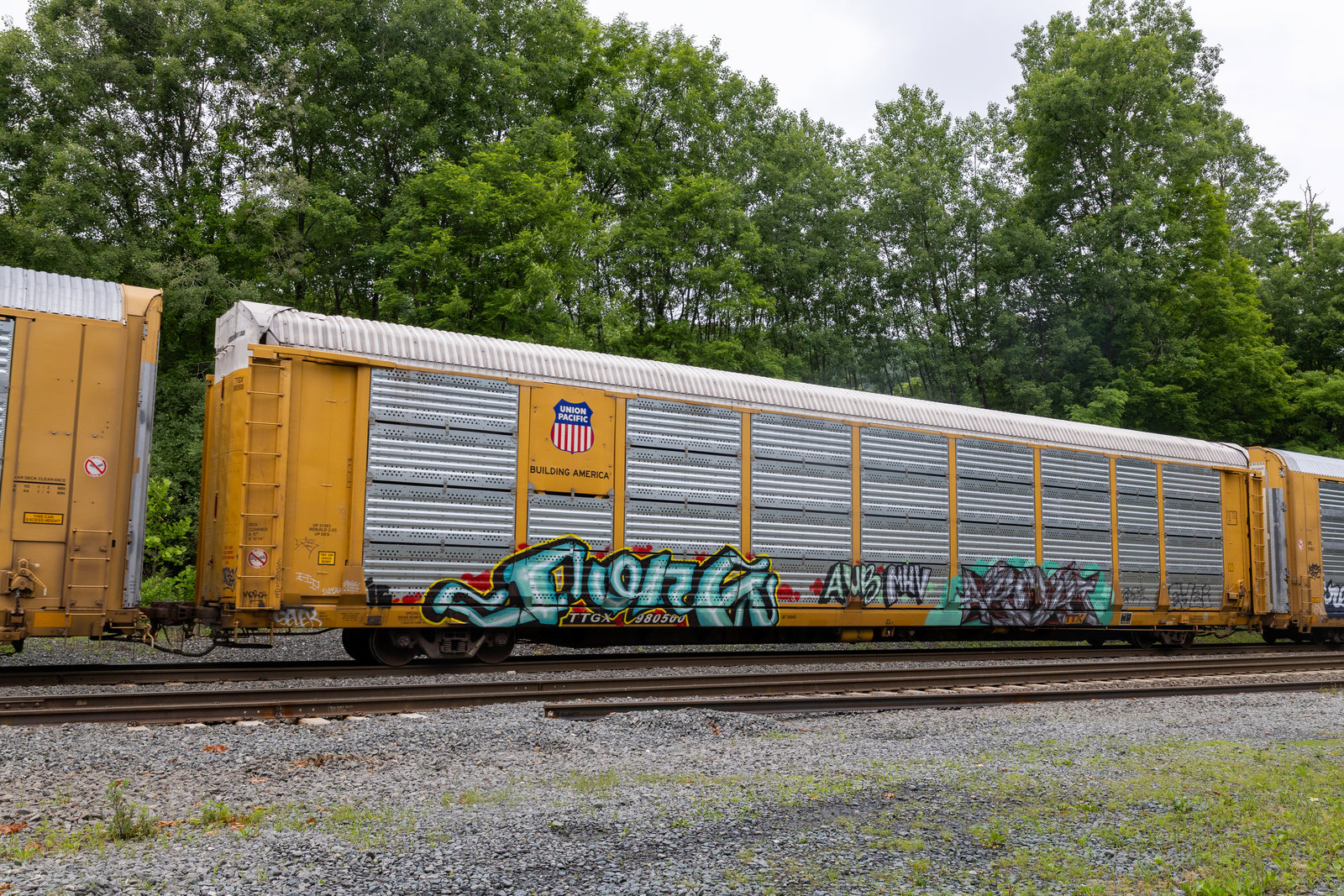 TTGX 980500