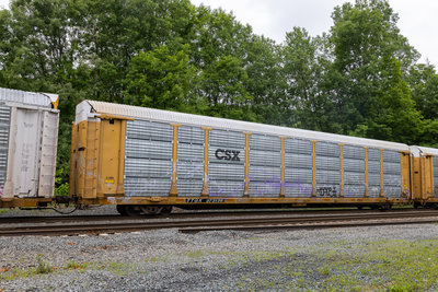 TTGX 973136