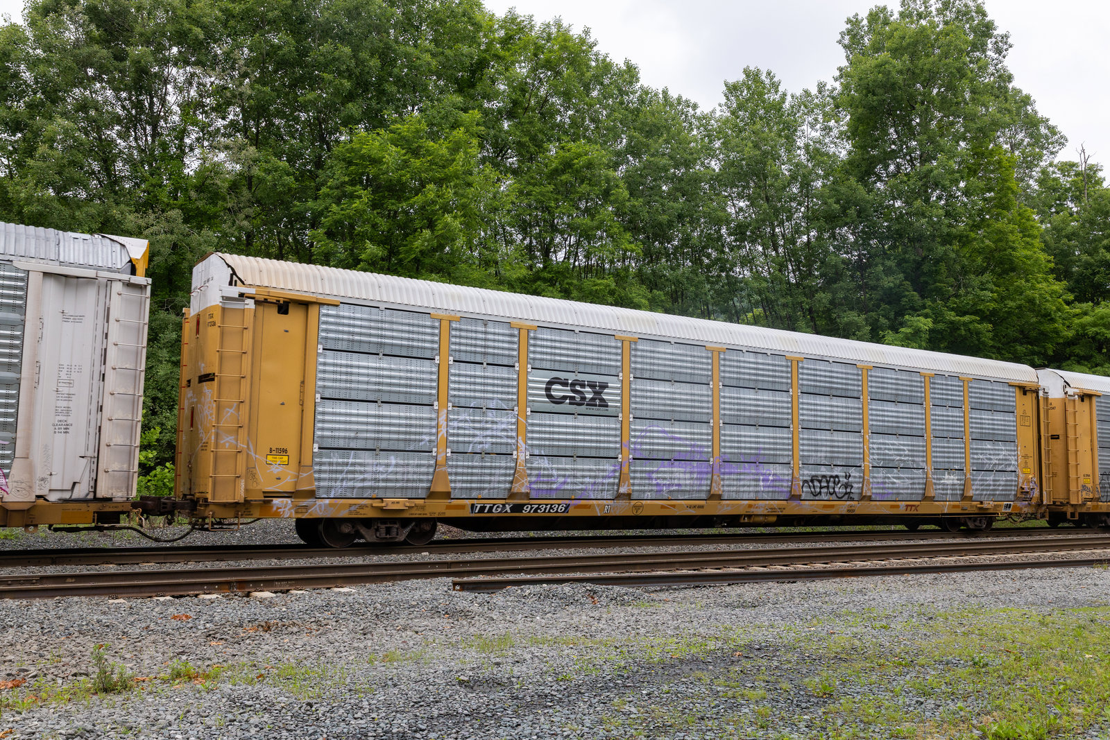 TTGX 973136