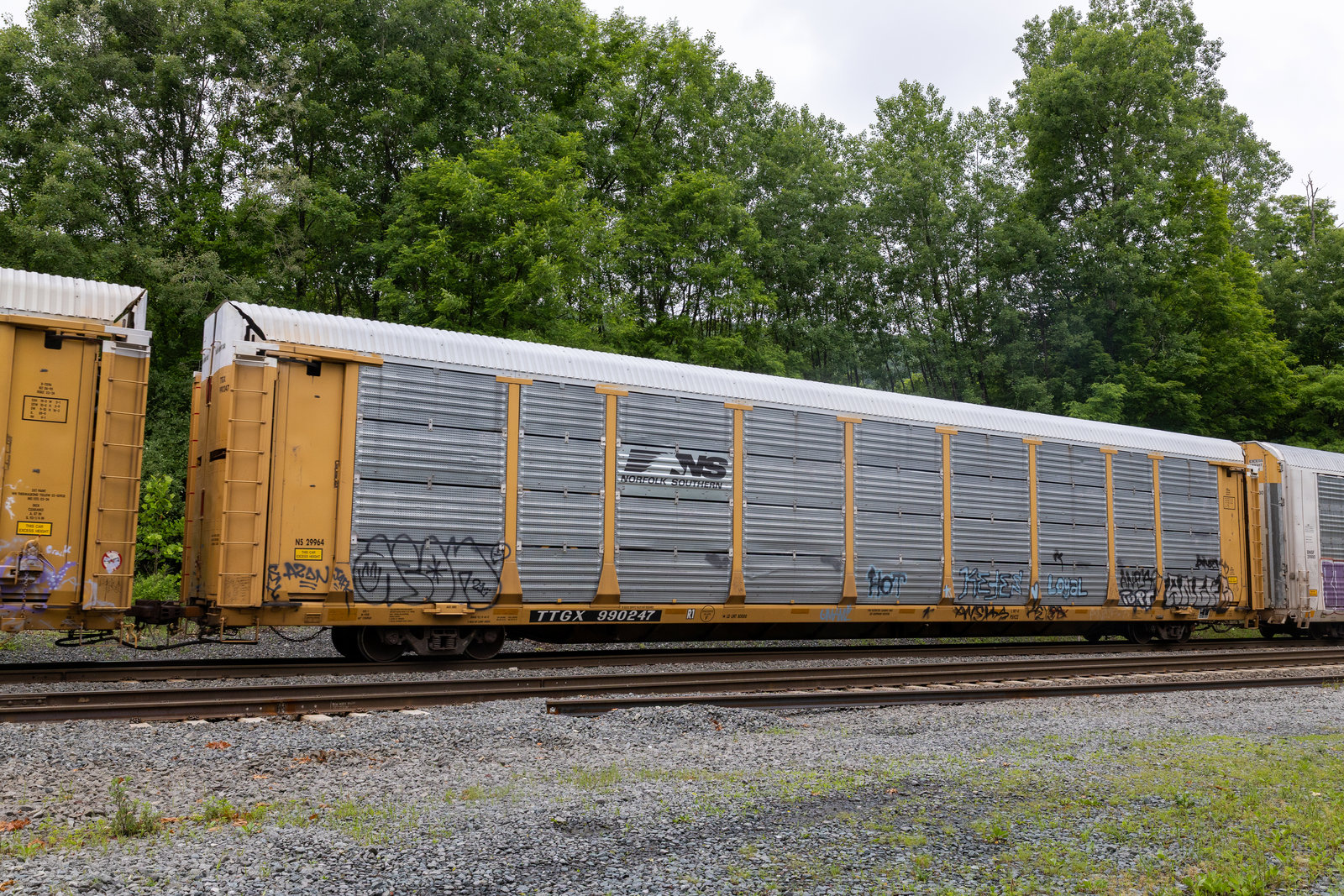 TTGX 990247