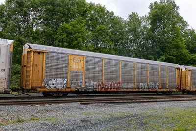 TTGX 981777