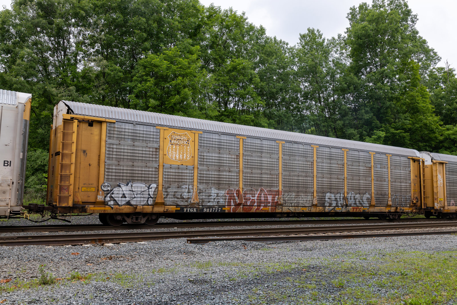TTGX 981777