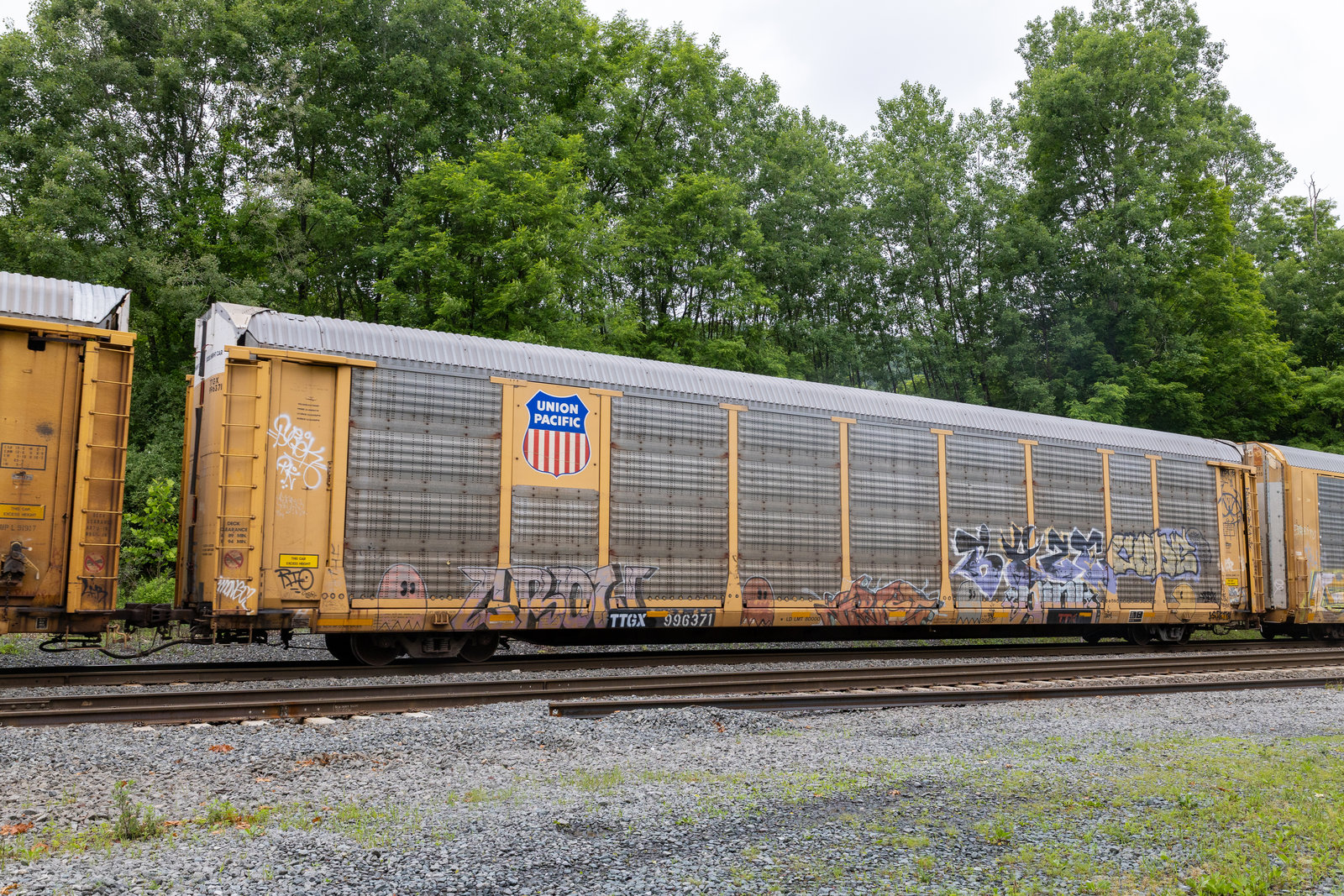 TTGX 996371