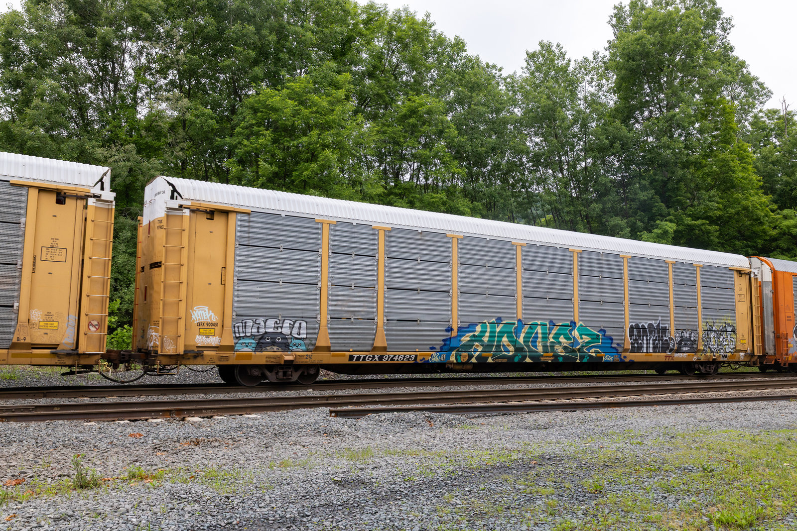 TTGX 974623