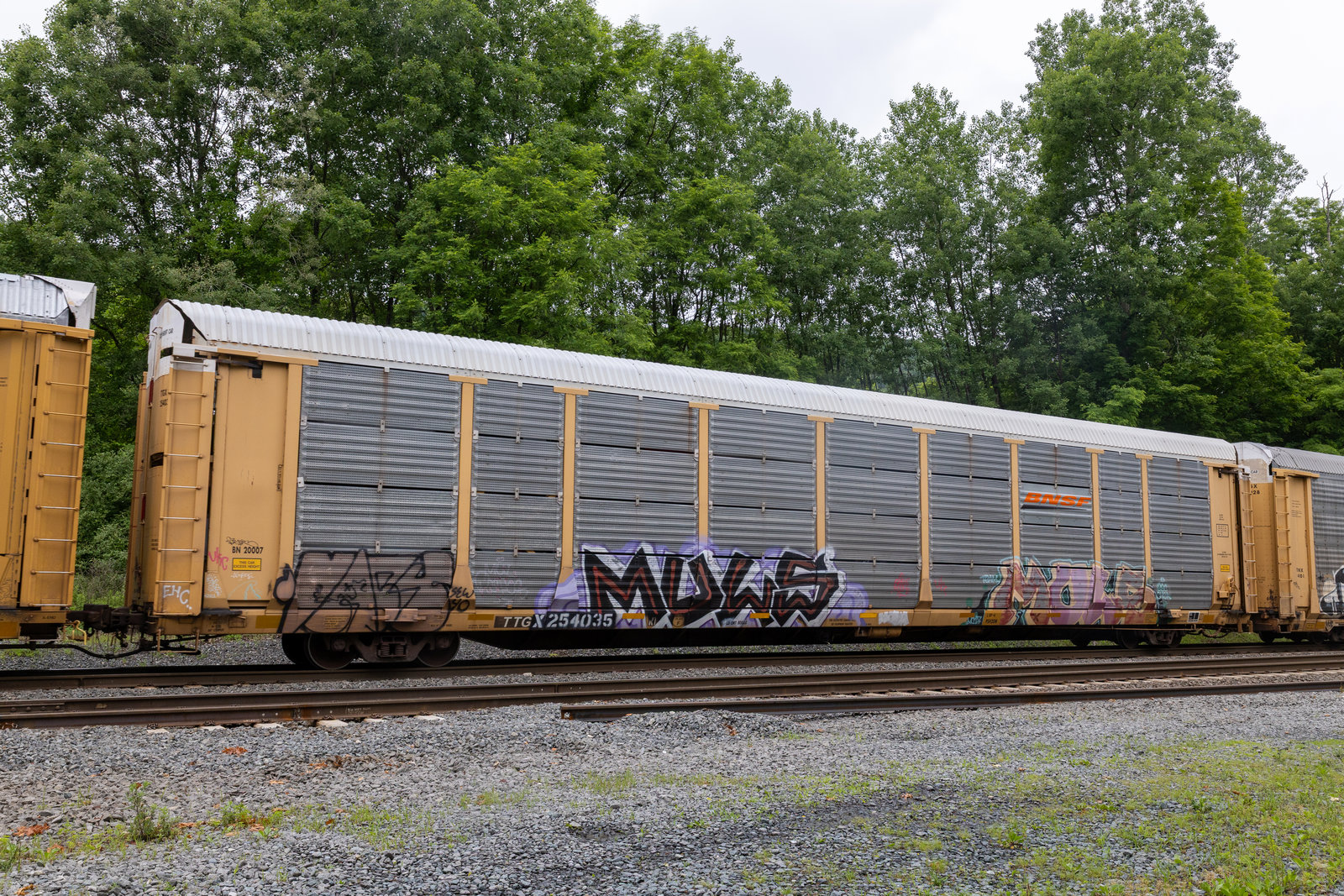 TTGX 254035