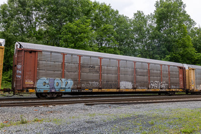 TTGX 980382