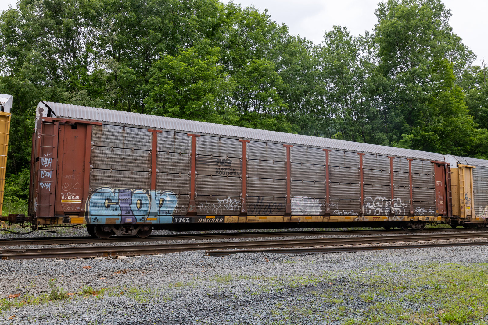 TTGX 980382