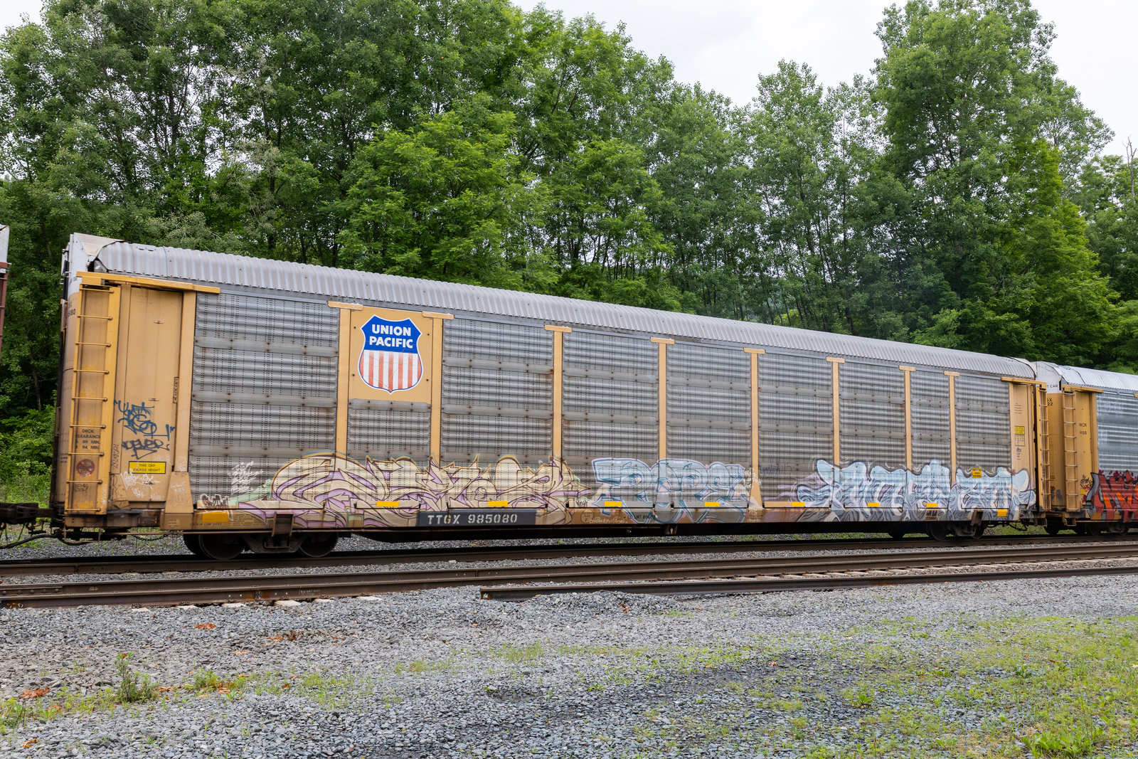 TTGX 985080