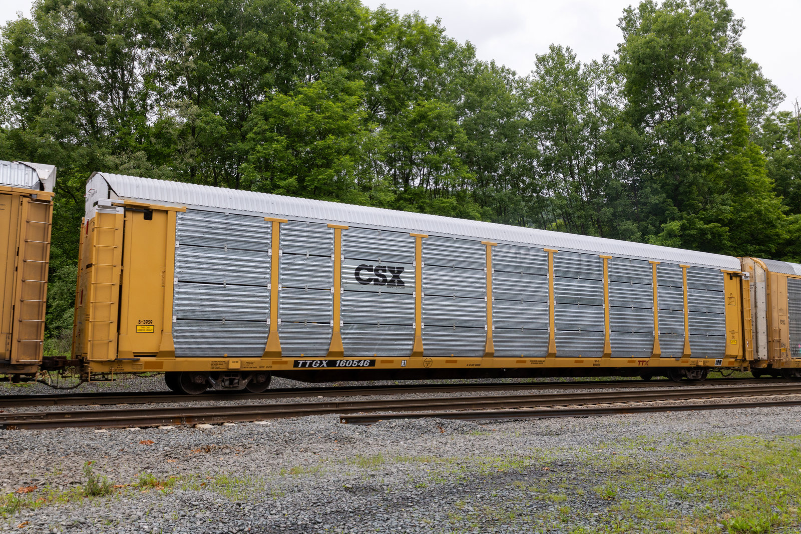 TTGX 160546