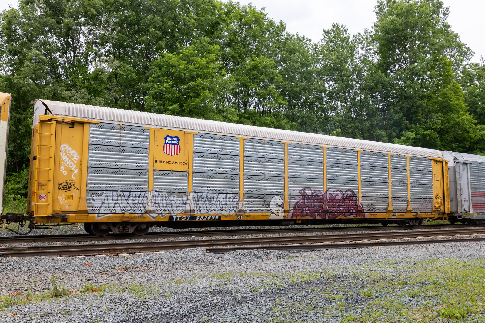 TTGX 982695