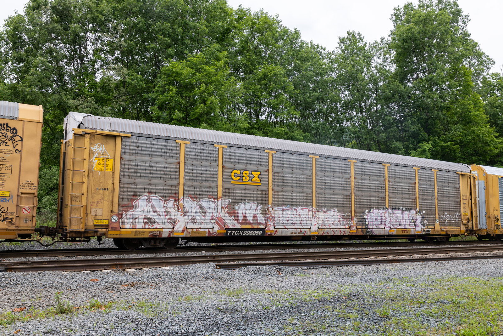 TTGX 996058
