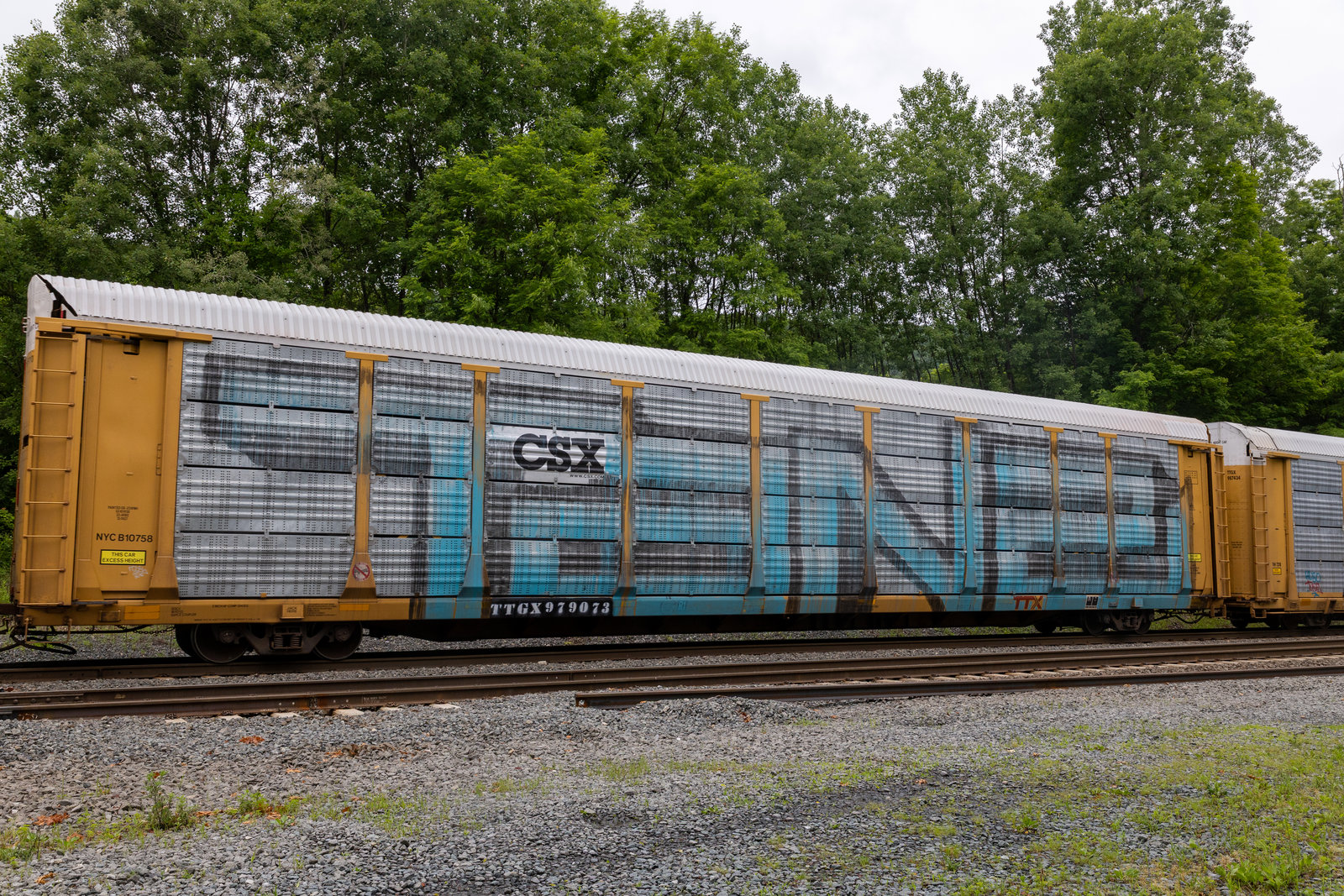 TTGX 979073