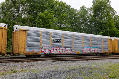 TTGX 987434