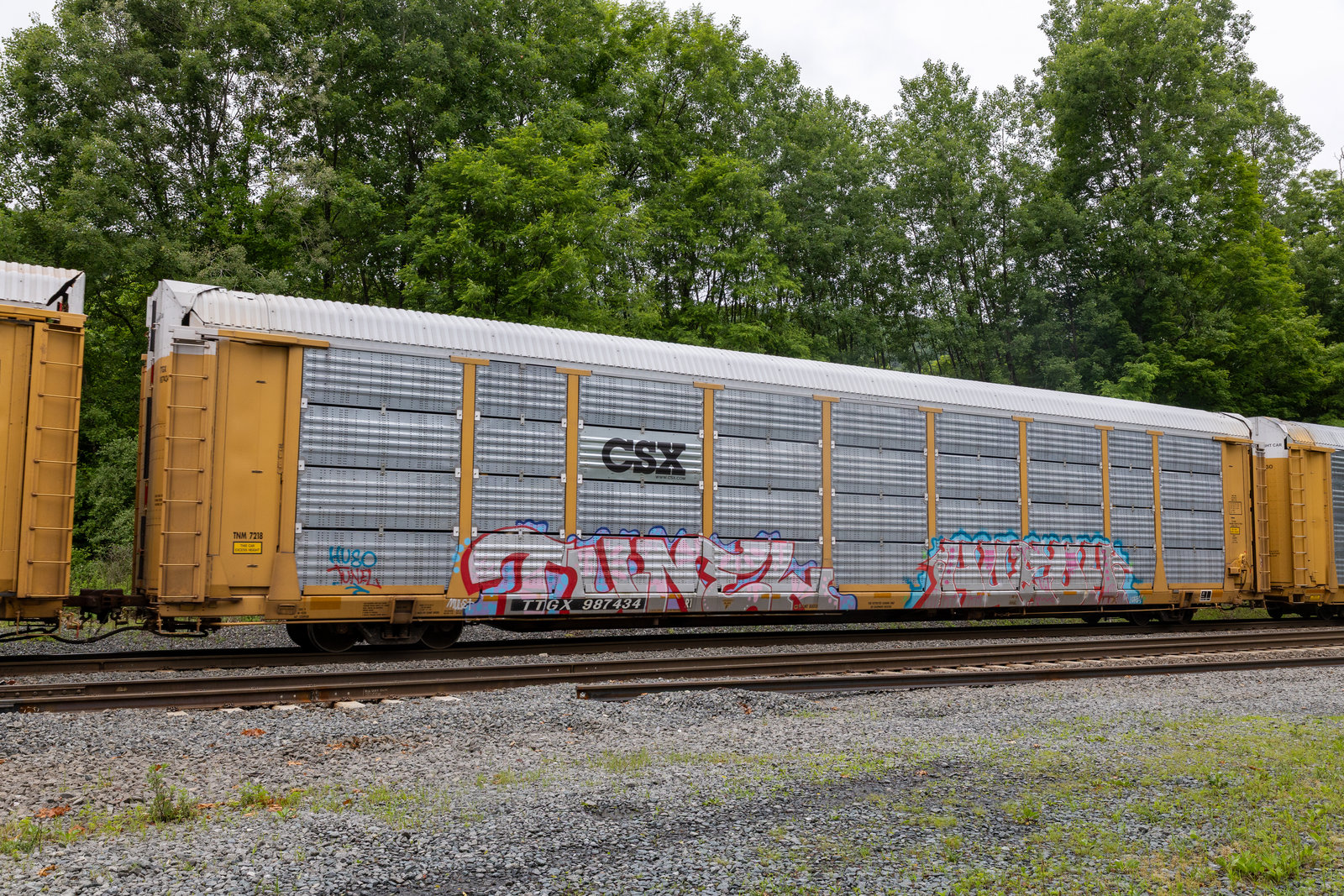 TTGX 987434