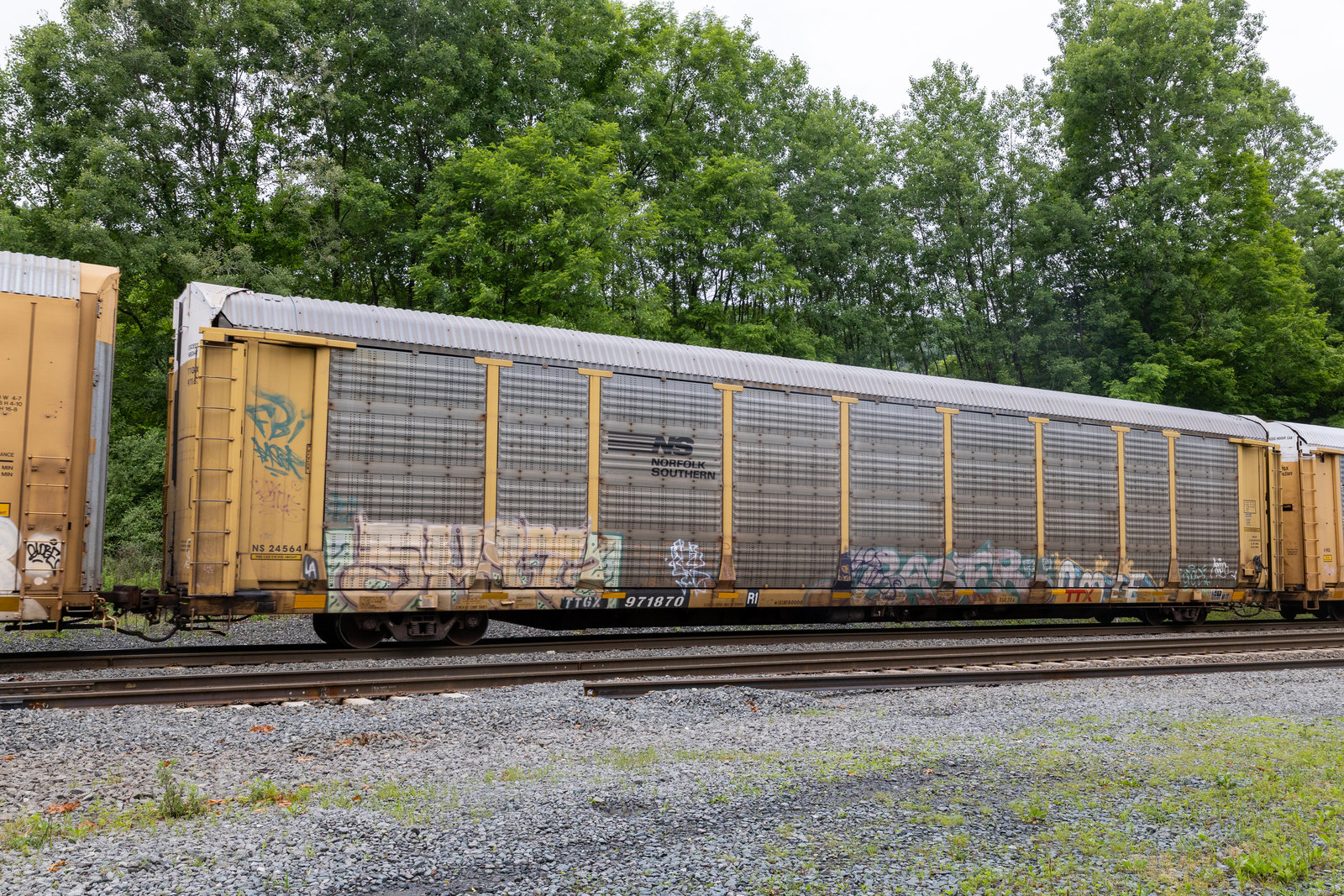 TTGX 971870
