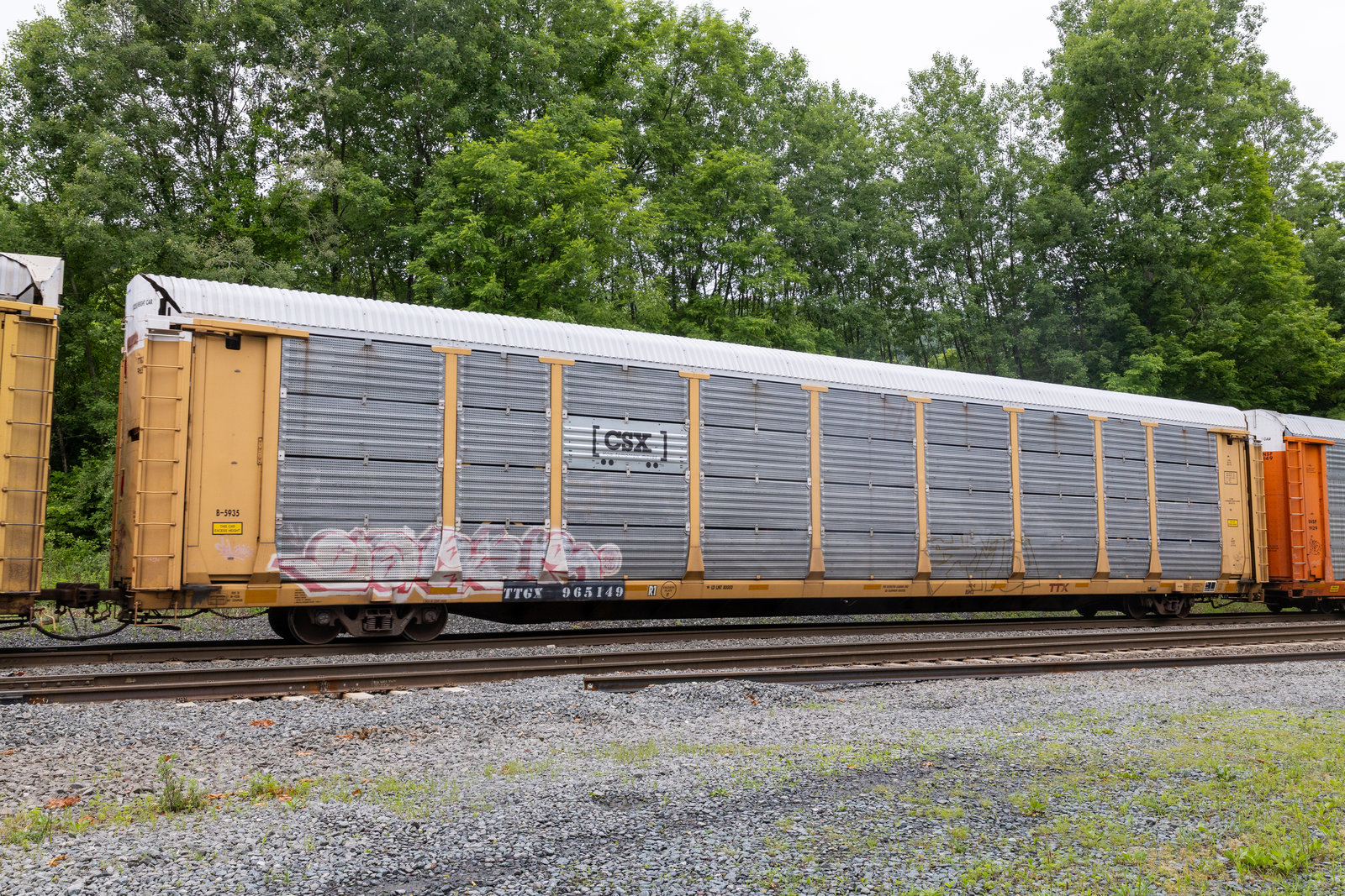 TTGX 965149