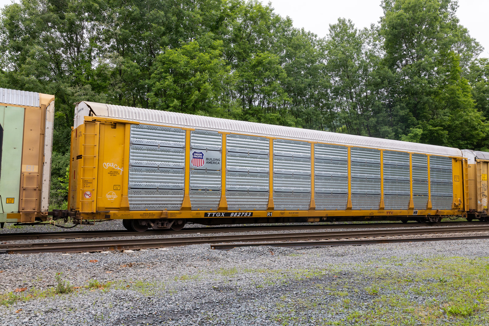 TTGX 982753