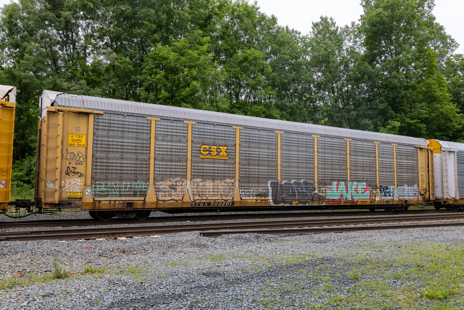 TTGX 988201