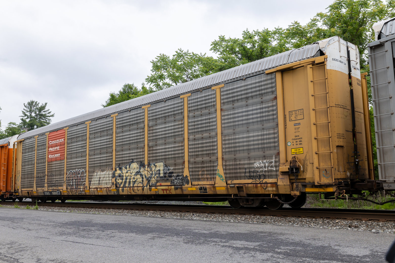 TTGX 988073