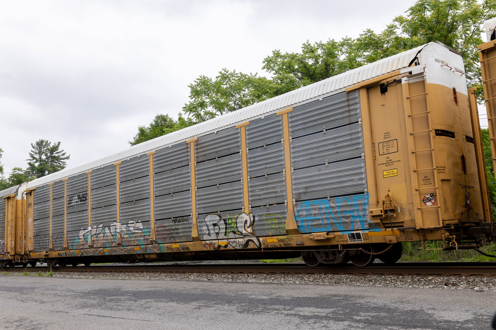 TTGX 975783
