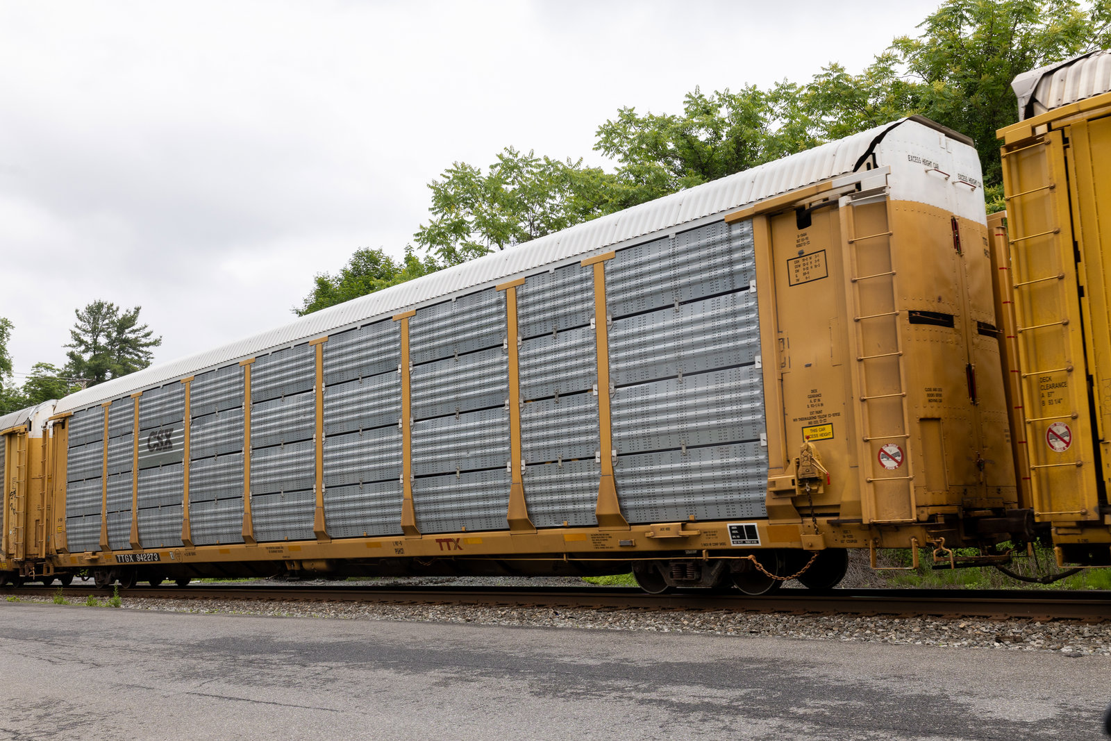 TTGX 942273
