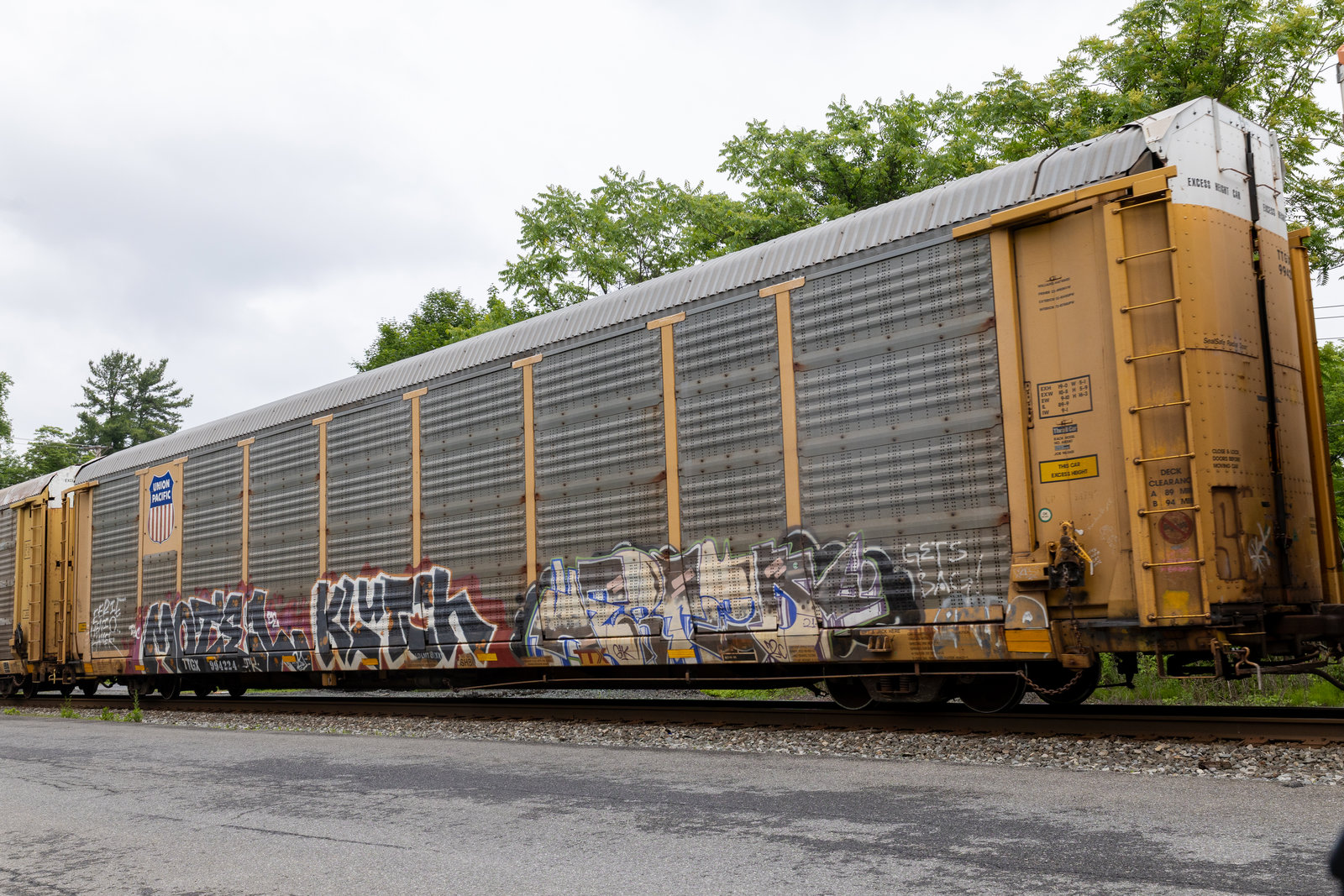 TTGX 994224