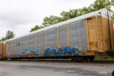 TTGX 983753