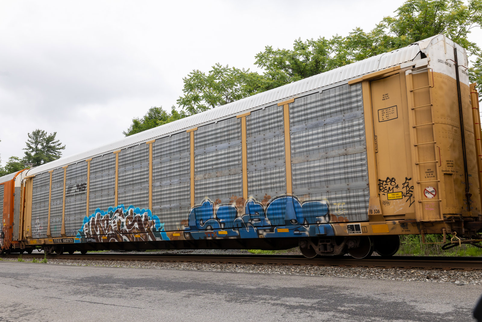 TTGX 983753