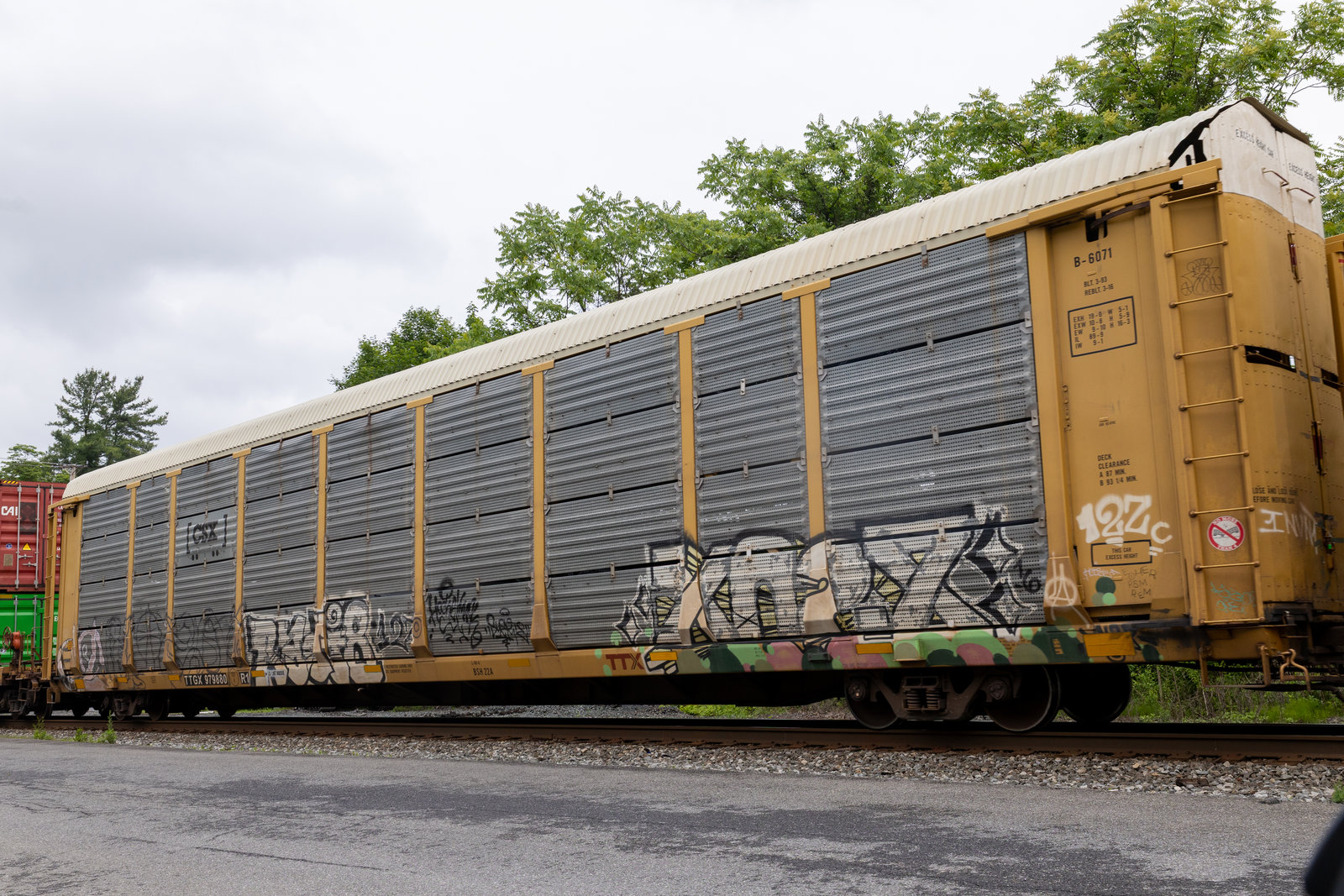 TTGX 979880