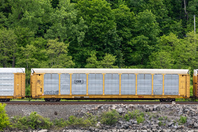 TTGX 942502